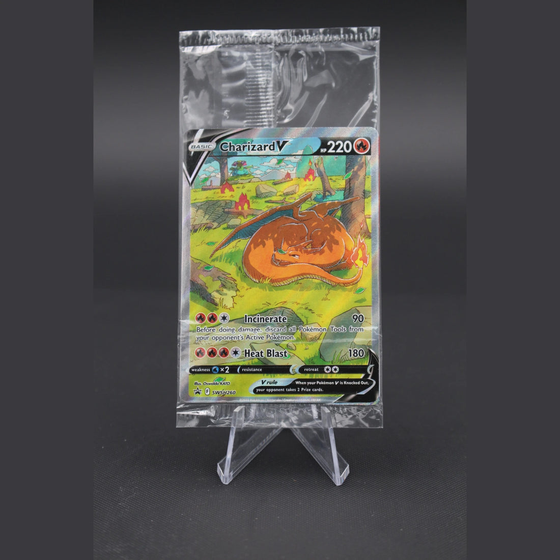 Charizard V · Sword & Shield Black Star Promos · SWSH260 · Englisch · NM (Near Mint) - Bild 1