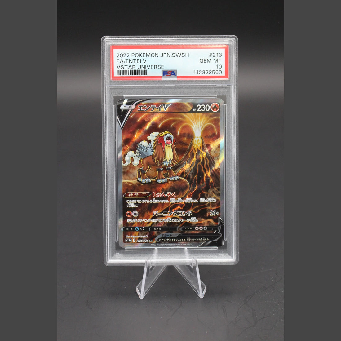 Entei V SAR · VSTAR Universe · 213/172 · Japanisch · PSA 10 - Bild 1