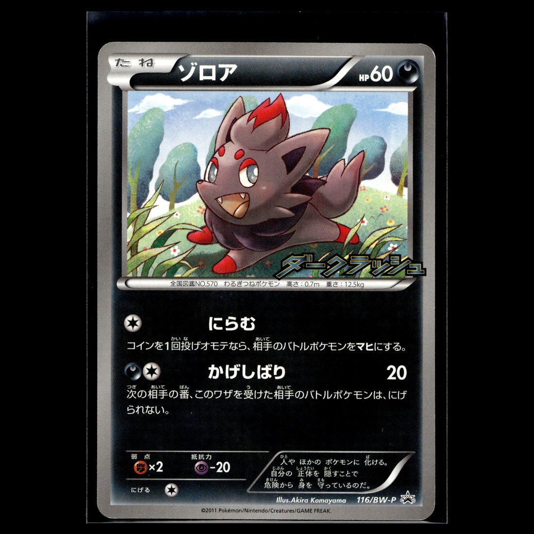 Zorua · BW Promo · 116/BW-P · Japanisch · (Near Mint) - Bild 1