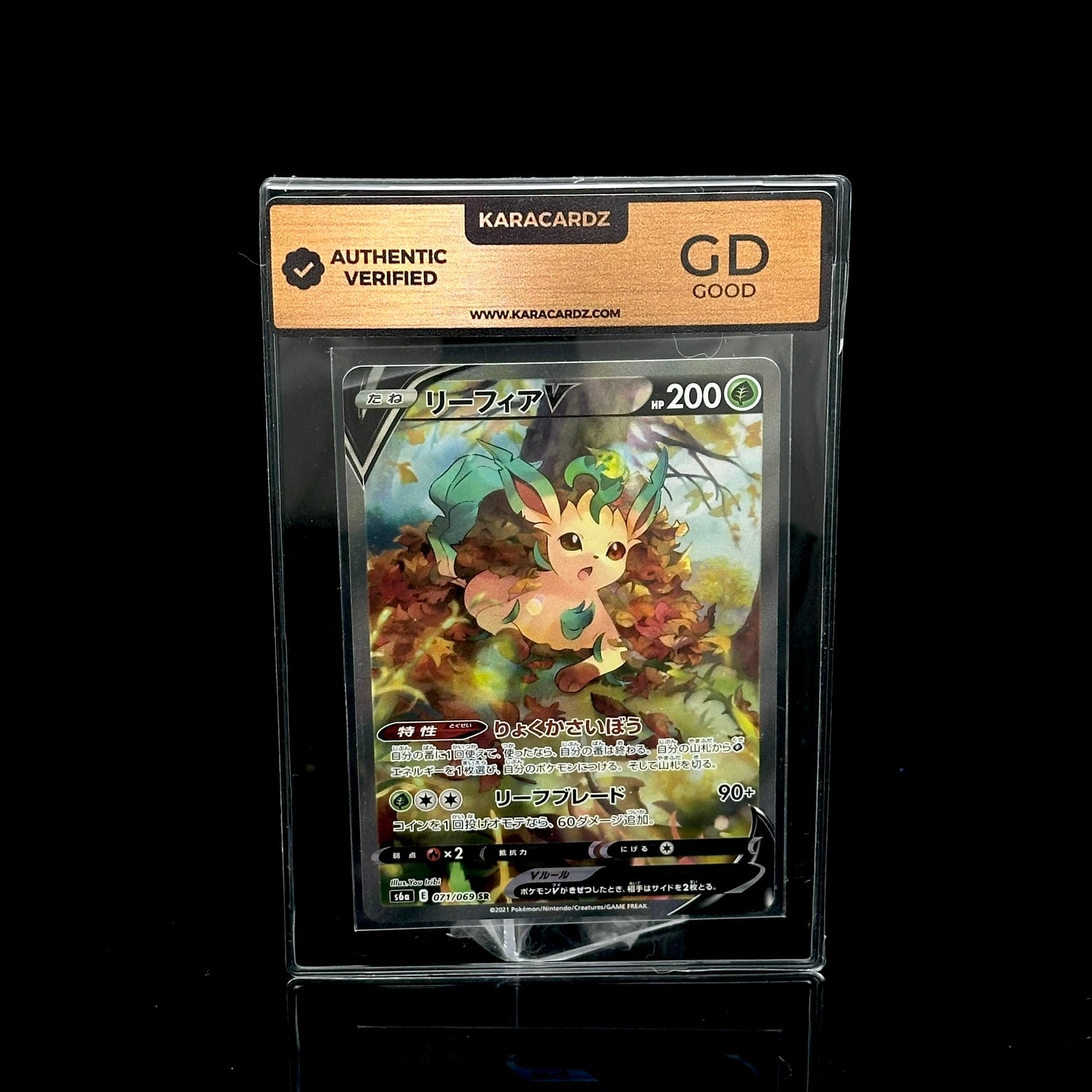 Pokémon Karten Pre-Grading