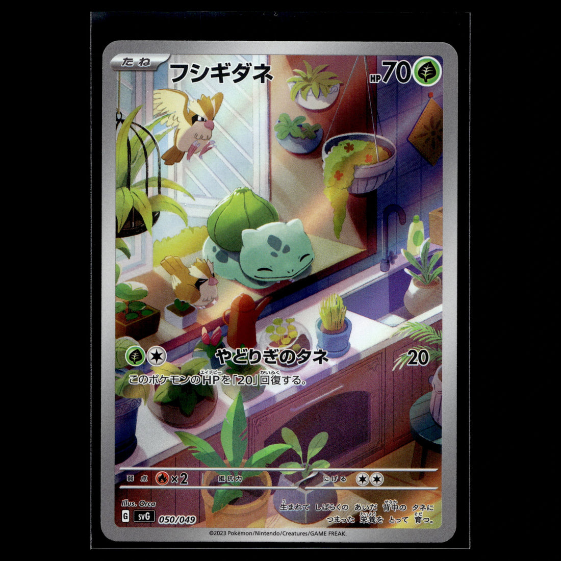 Bulbasaur · Promo · 050/049 · Japanisch · (Near Mint) - Bild 1