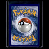 Eevee & Snorlax GX · Black Star Promos · SM169 · Englisch · (Excellent+) Bild 2