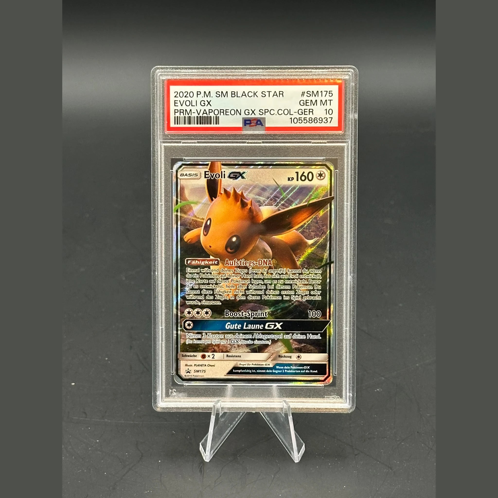 Evoli GX · Black Star Promo · SM175 · Deutsch · PSA 10 - Bild 1