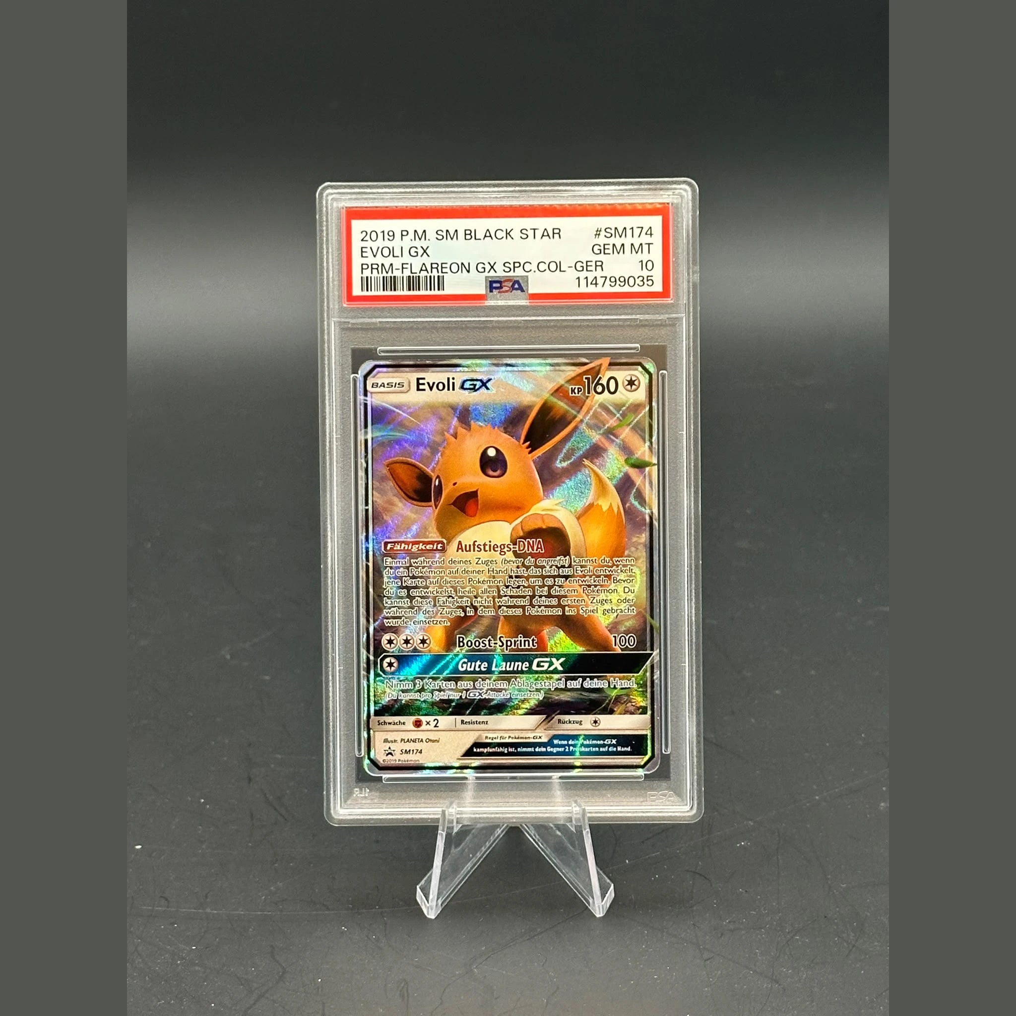 Evoli GX Promo · Promokarten · SM174 · Deutsch · PSA 10 - Bild 1