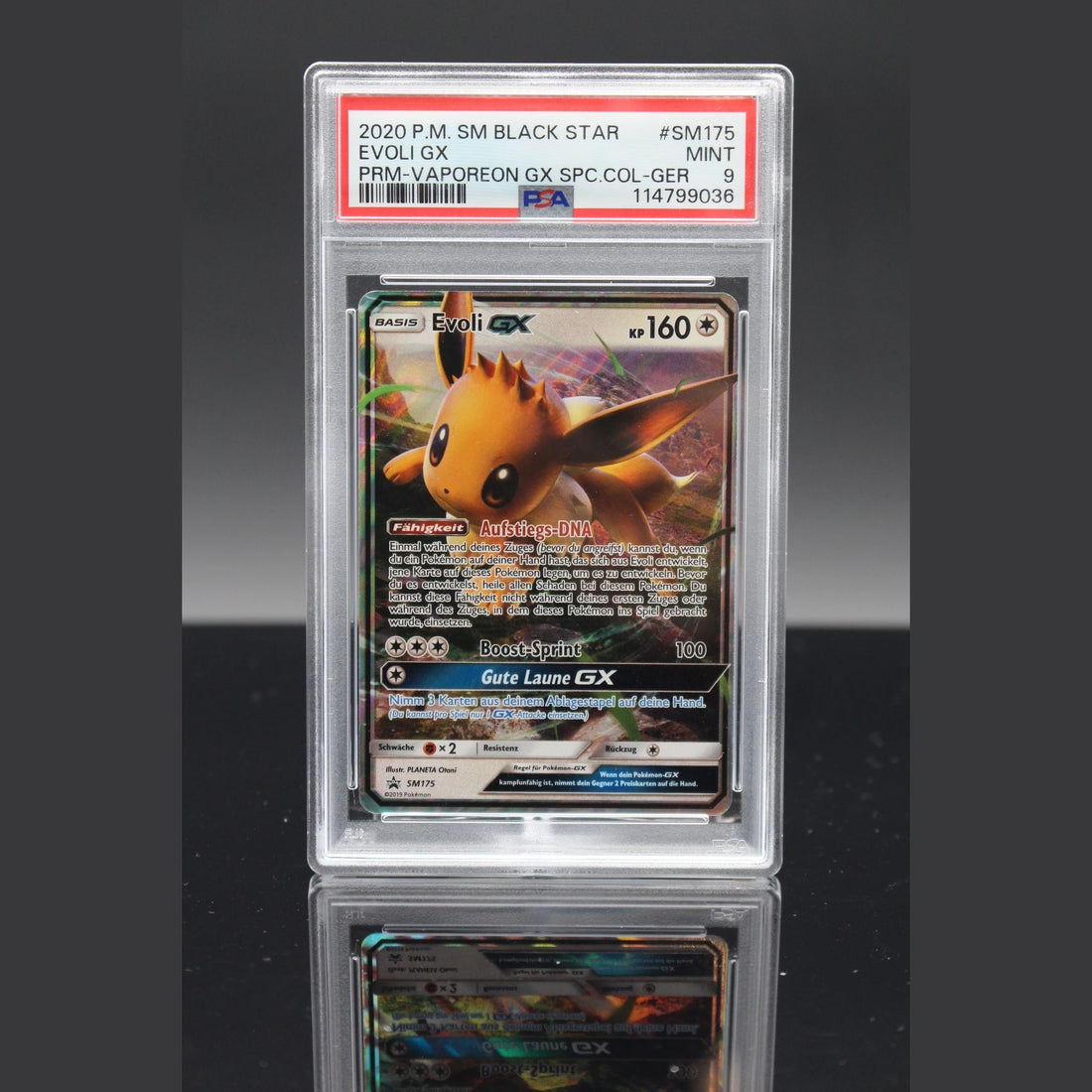 Evoli GX Promo · SM Promokarten · SM175 · Deutsch · PSA 9 - Bild 1
