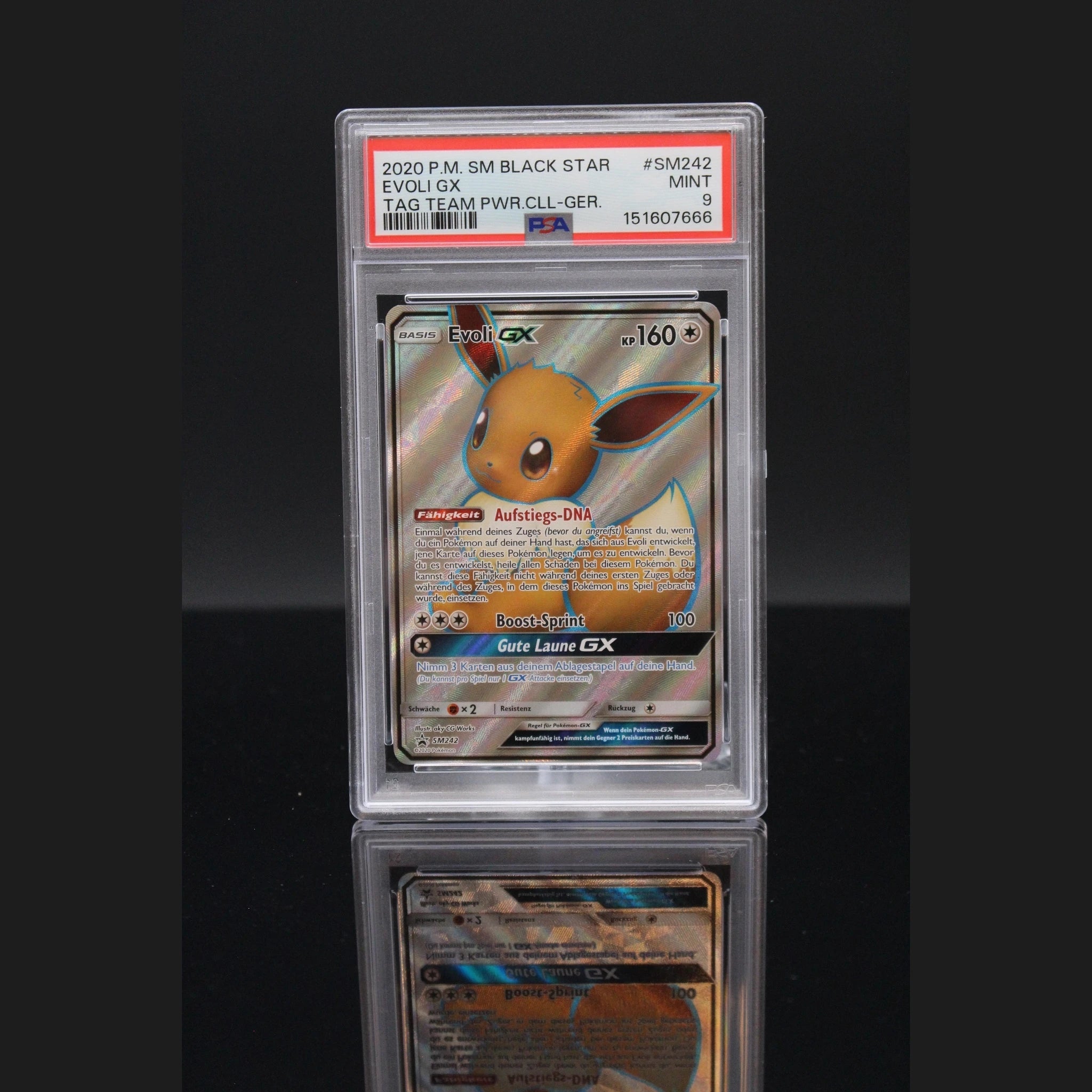 Evoli GX Promo · SM Promokarten · SM242 · Deutsch · PSA 9 - Bild 1