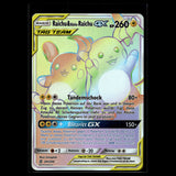 Raichu & Alola-Raichu GX · Teams sind Trumpf · 241/236 · Deutsch · (Near Mint-) Bild 1