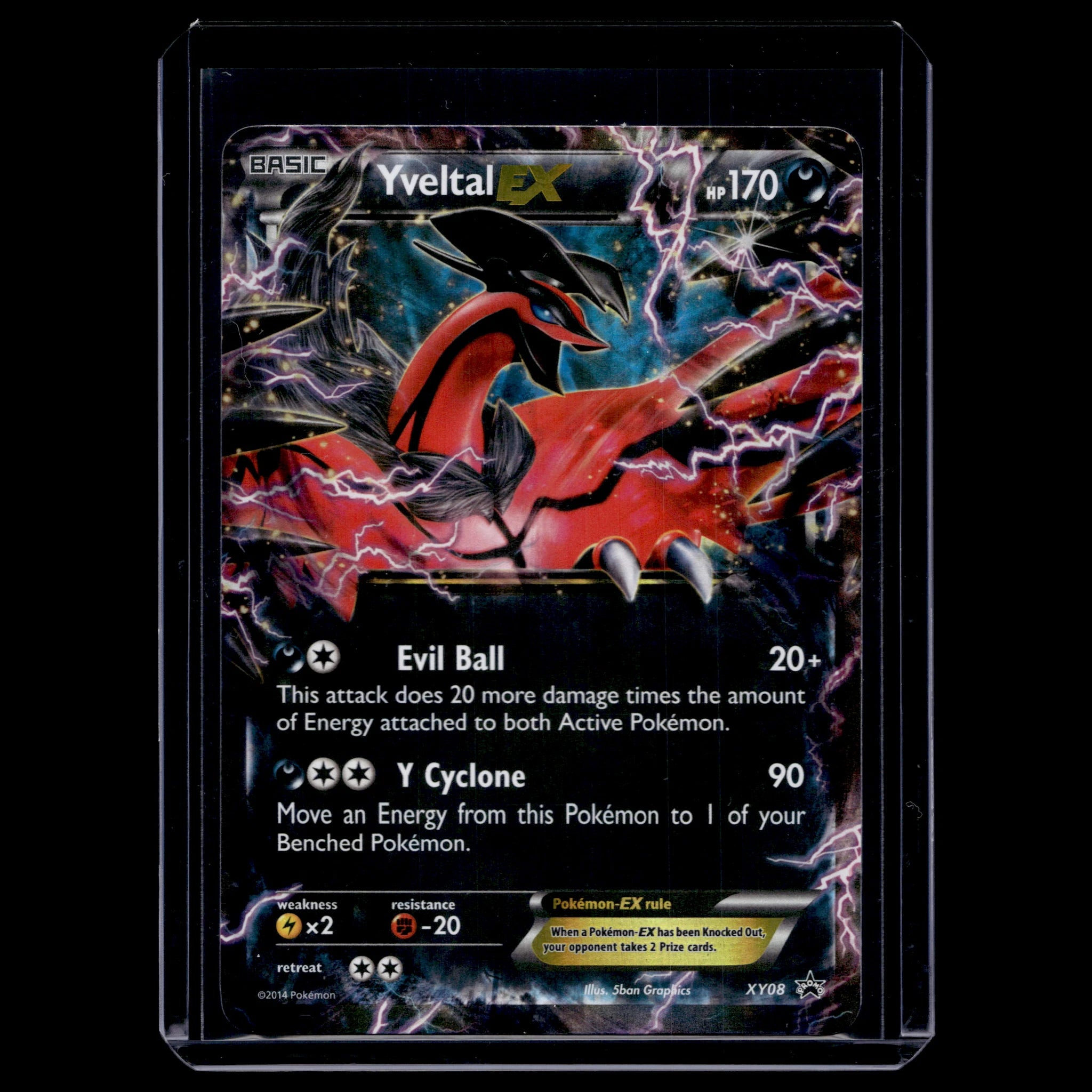 Yveltal EX · Black Star Promos · XY08 · Englisch · (Near Mint-) - Bild 1