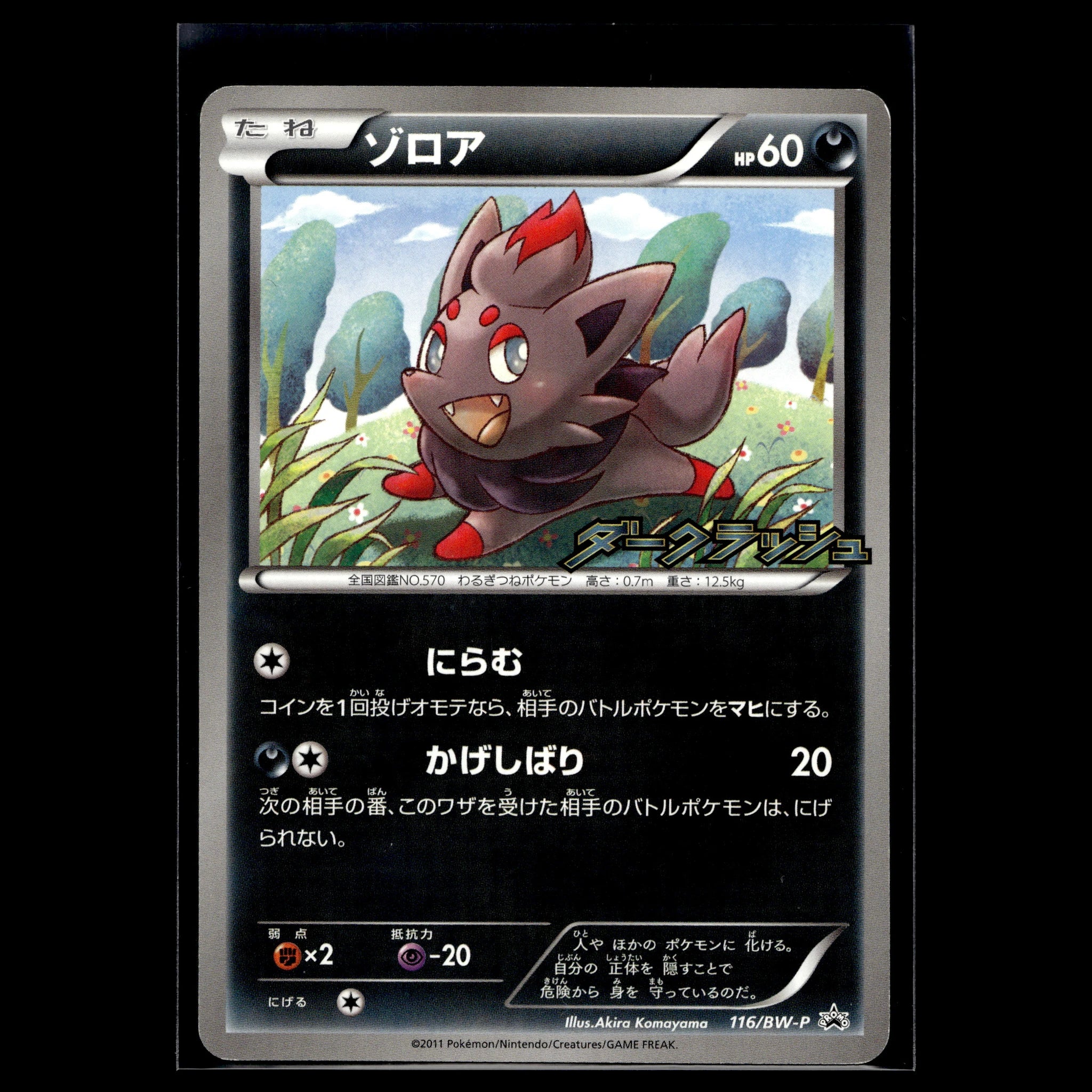 Zorua · BW Promo · 116/BW-P · Japanisch · (Near Mint) - Bild 1